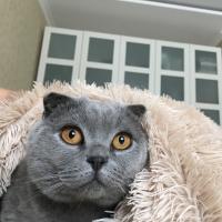 Анастасия