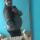 alina11021994
