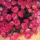 nataly.ur