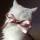 catmarie