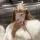 aiyynagov97
