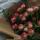 salima_safari