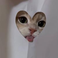 safiya