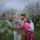kim_wed