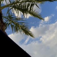 Samia