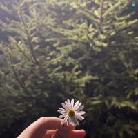 Молодая Мамаша 