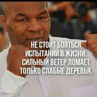 Руководитель Отдела Компании Тяньши 