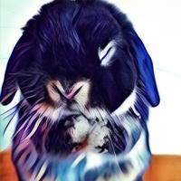 Виолетта  Максимова