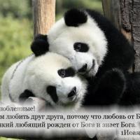 ПДР 13 МАРТА