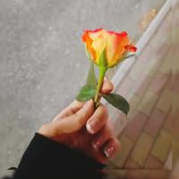 سعادة