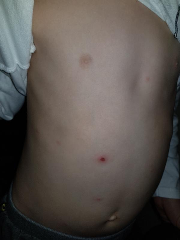 post image 2