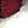 as_sa