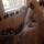 heda_0695
