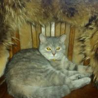 Юлия Анатольевна 