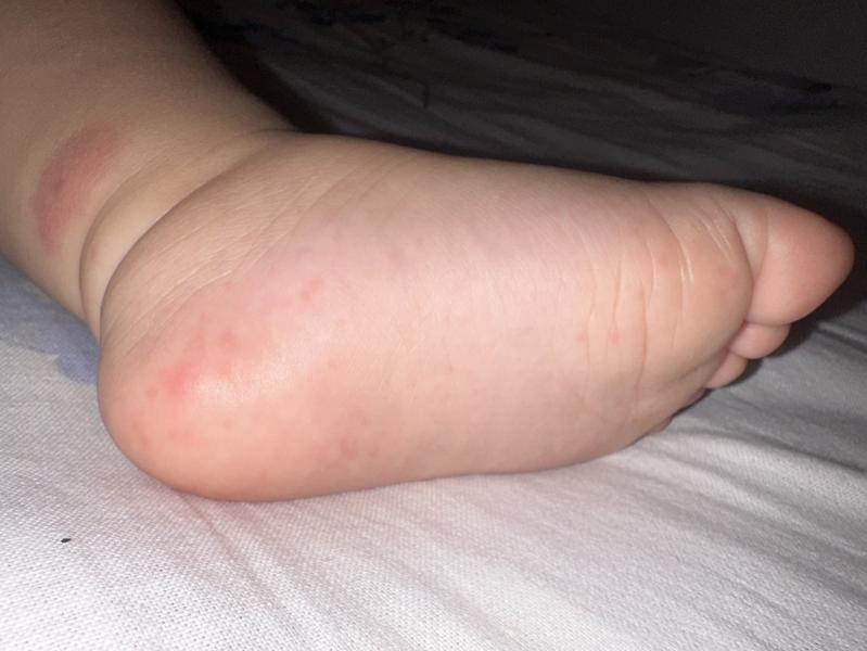 post image 5