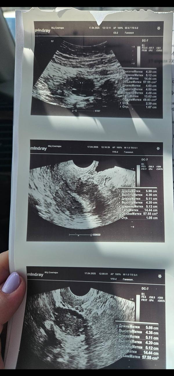 post image 5