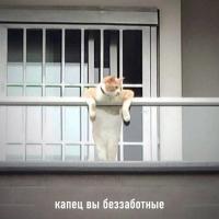 Настя