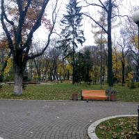 Степанюк Любов