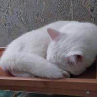 Татьяна С.