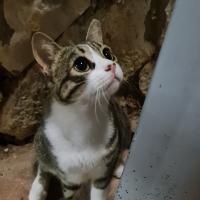 Кристюша