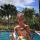 polina_mot