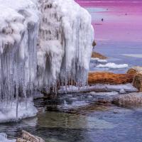 Аружан Абуова