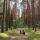 inthewood7