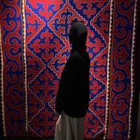 elya_hack