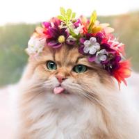 Оксана