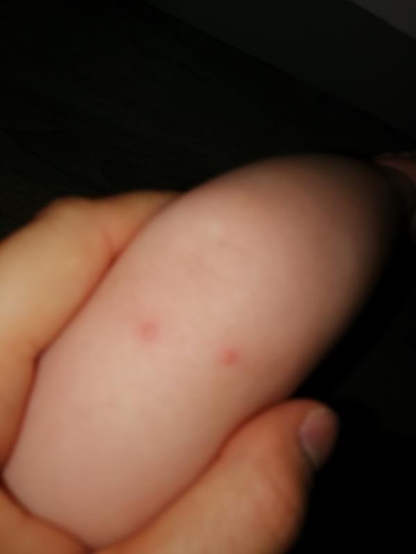 post image 5