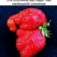 Жэка