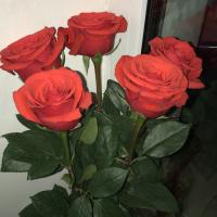 radionova-lina@list.ru