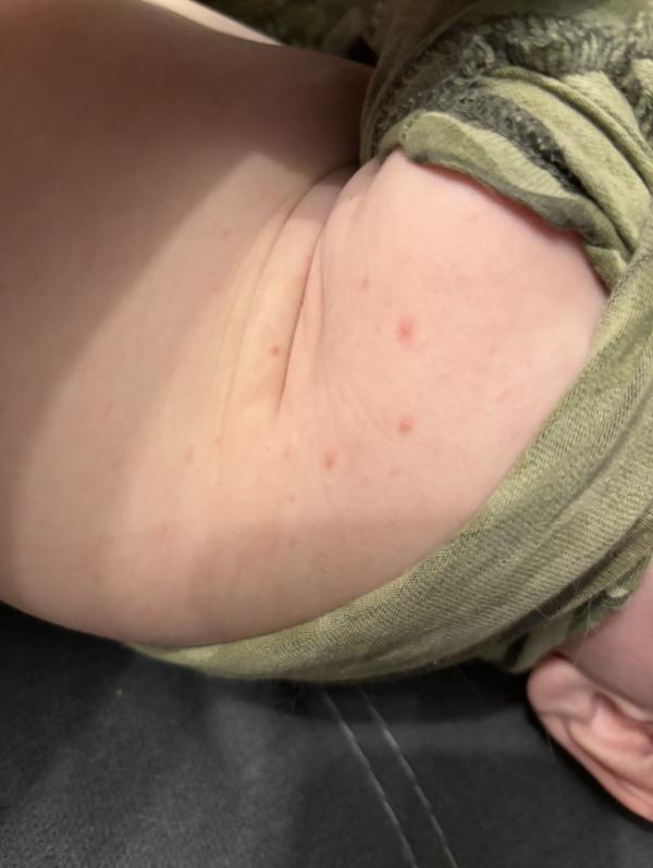 post image 5