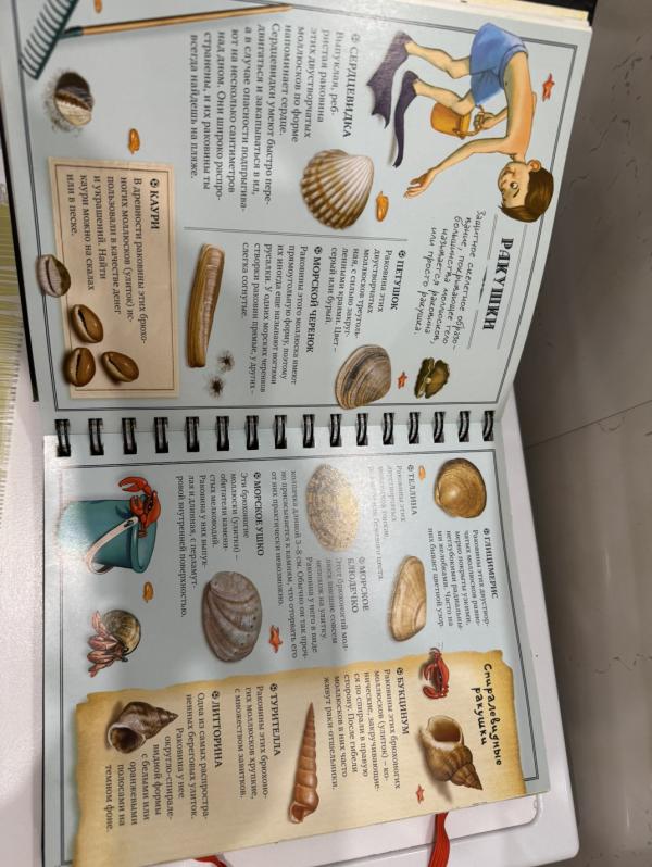 post image 4