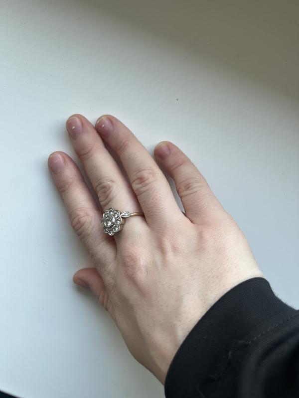 post image 5