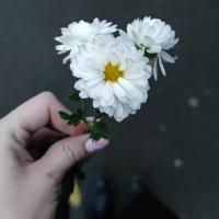 Ана