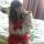 onlimoon346