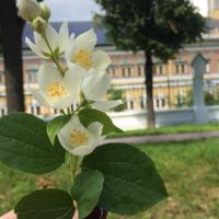 Мария