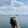 rina_chel
