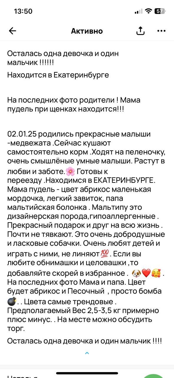 post image 4