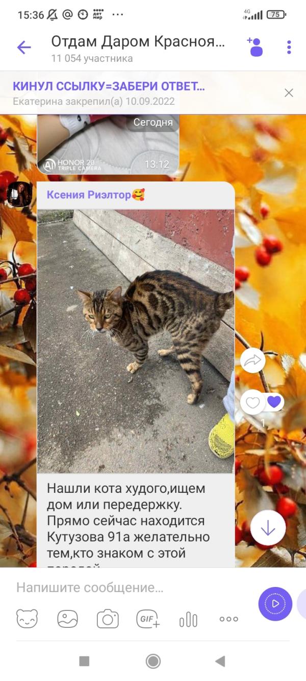 post image