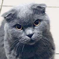 Сандра