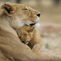 mama.lva