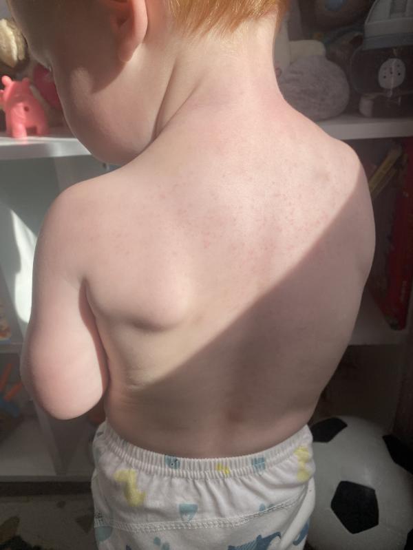 post image 1