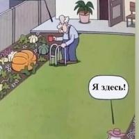 Полина