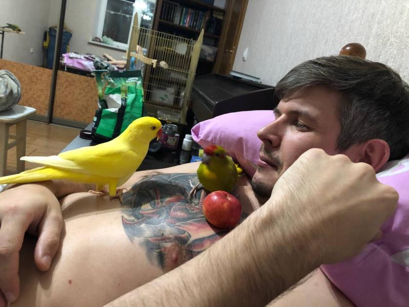 post image 5