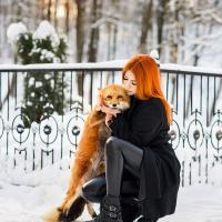 Викеша