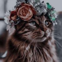 Ксения