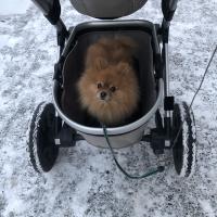 Юлия