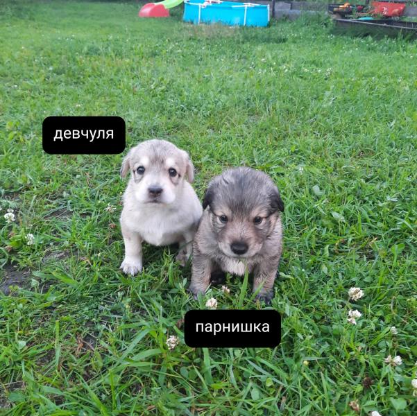 post image 4
